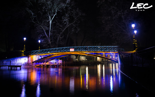 <p>The bridge's deck is equipped with two lines of 22 m-long using the 5620-Brunei LED linear, with 160 LEDs per meter, in amber and lit down the bridge.</p>
