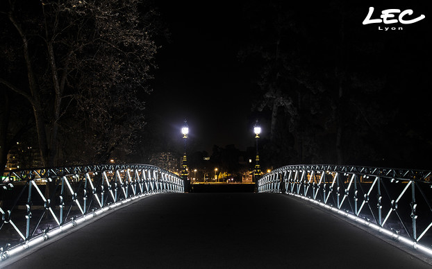 <p>The bridge's handrail is lit with two lines of 22 m-long using the 5620-Brunei LED linear, with 160 LEDs per meter, in 4000°K white all along the bridge on both sides, 44 m in total.</p>

<p> </p>
