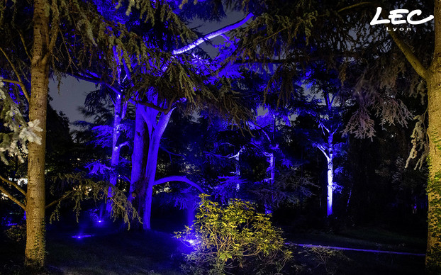 <p>LEC 5716 Allevard lights are installed at the base of large trees and in the bamboo forest.</p>

