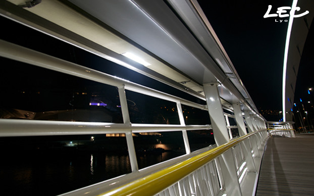 <p>To up-light the whole length of the handrail located on the pedestrian sidewalk of the bridge, LEC provided 142 lightbars 5633-CN6-100*12-Arches.</p>
