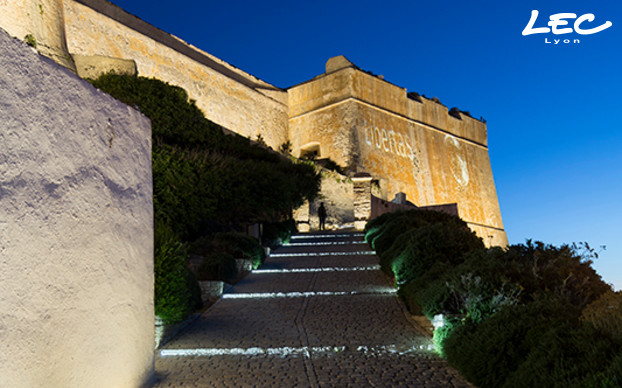 <p>23 mini projectors 1750A-Bourgogne create the illusion of a ladder of light whilst securing and decorating the "Montée Saint-Roch". Each projector is fixed in a bespoke compact aluminium bollard that is engraved with the arms of the City of Bonifacio and installed on the inner side of the pathway.</p>
