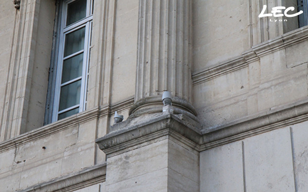<p>24 projectors 4040-Luminy 4 in neutral white with a 6° optic, and the Luminy CAP, are fixed on the base of the 12 columns of the Court House.</p>
