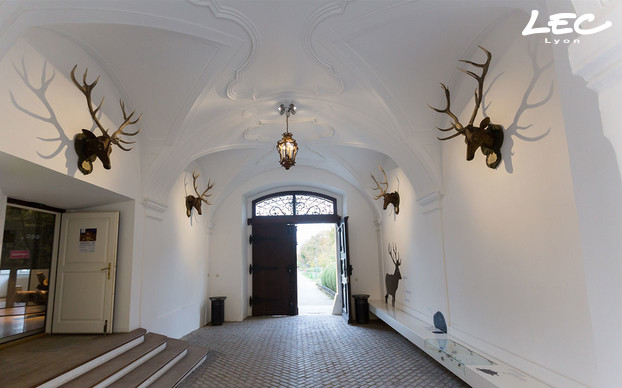 <p>24  <strong>Luminy-4010, in warm white and neutral white</strong> all equipped with bespoke lens, light the deers in relief placed on the walls inside the castle, as well as the ones seen in the inner courtyard.  </p>

<p>All the luminaires have a bespoke paint-finish.</p>

