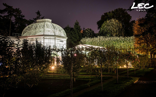 Albert Kahn Gardens