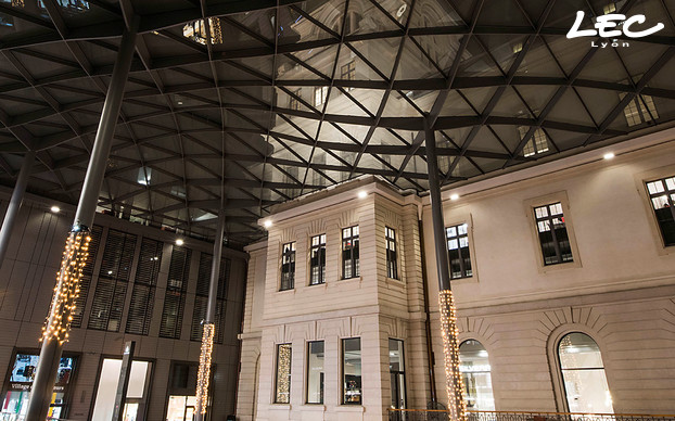 <p>Des projecteurs LEC 4660, ici orientés vers le bas, sont utilisés pour l'éclairage des façades de la cour du Midi, l'espace commercial situé au sud de l'Hôtel Dieu</p>
